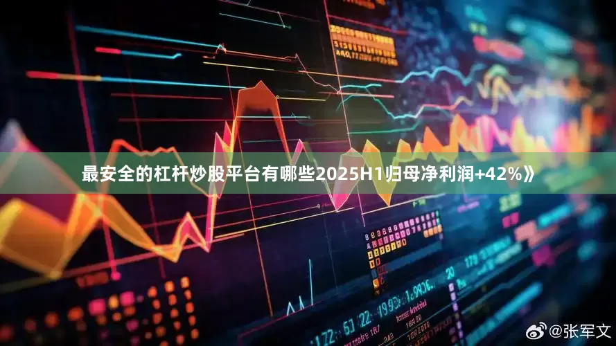 最安全的杠杆炒股平台有哪些2025H1归母净利润+42%》