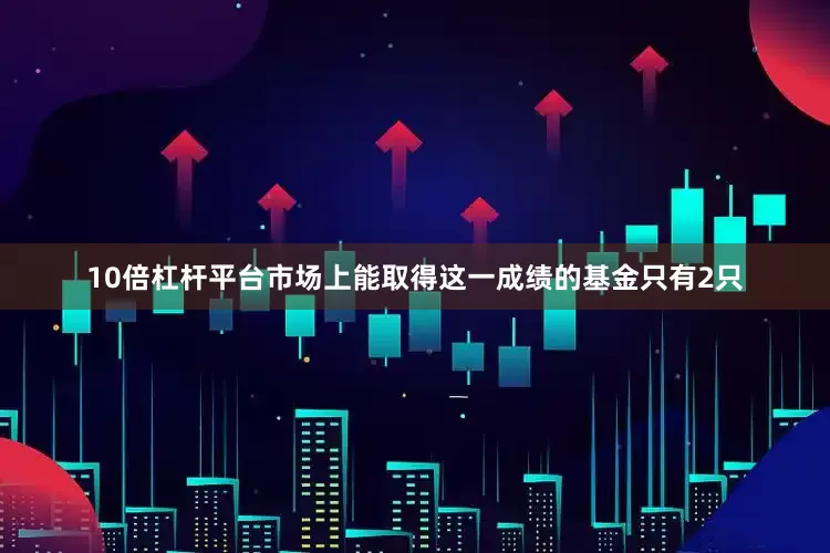 10倍杠杆平台市场上能取得这一成绩的基金只有2只