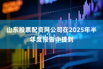 山东股票配资网公司在2025年半年度报告中提到