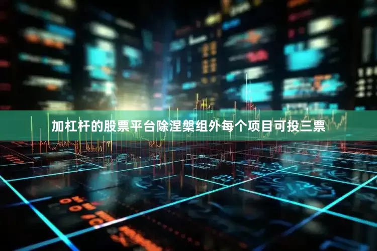 加杠杆的股票平台除涅槃组外每个项目可投三票